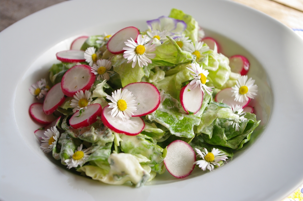 Blütensalat im Frühling